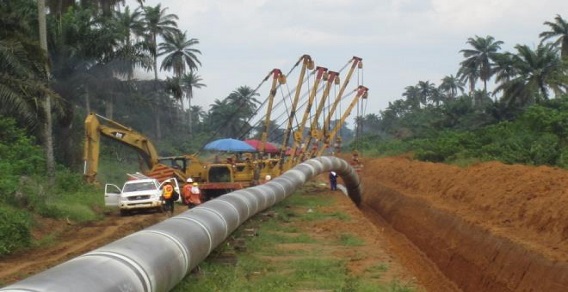 sustainable social development, creative workshops, social development festival at kaec